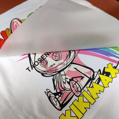 Dobra cena Bezpłatny próbka Doppel Side Matte DTF 30cm 60cm Cold Peel Hot Peel Pet Film Dtf Roll w Internecie