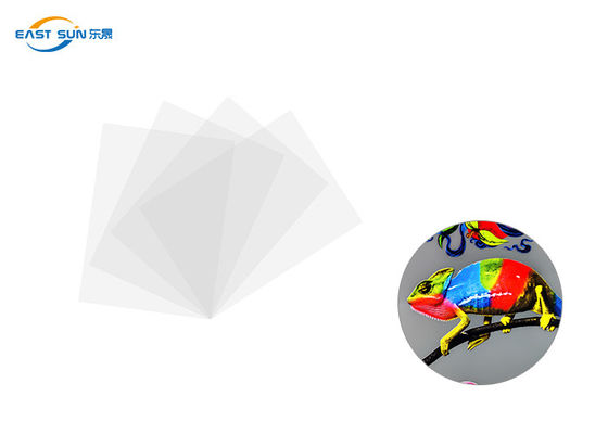 Dobra cena Konwencjonalna szerokość 60 cm 33 cm 30 cm Folia termotransferowa DTF Kolor biały w Internecie