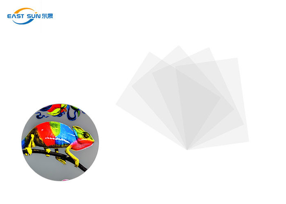 Good price Arkusz A3 A4 DTF Folia PET na zimno 0,075 mm do druku cyfrowego w Internecie